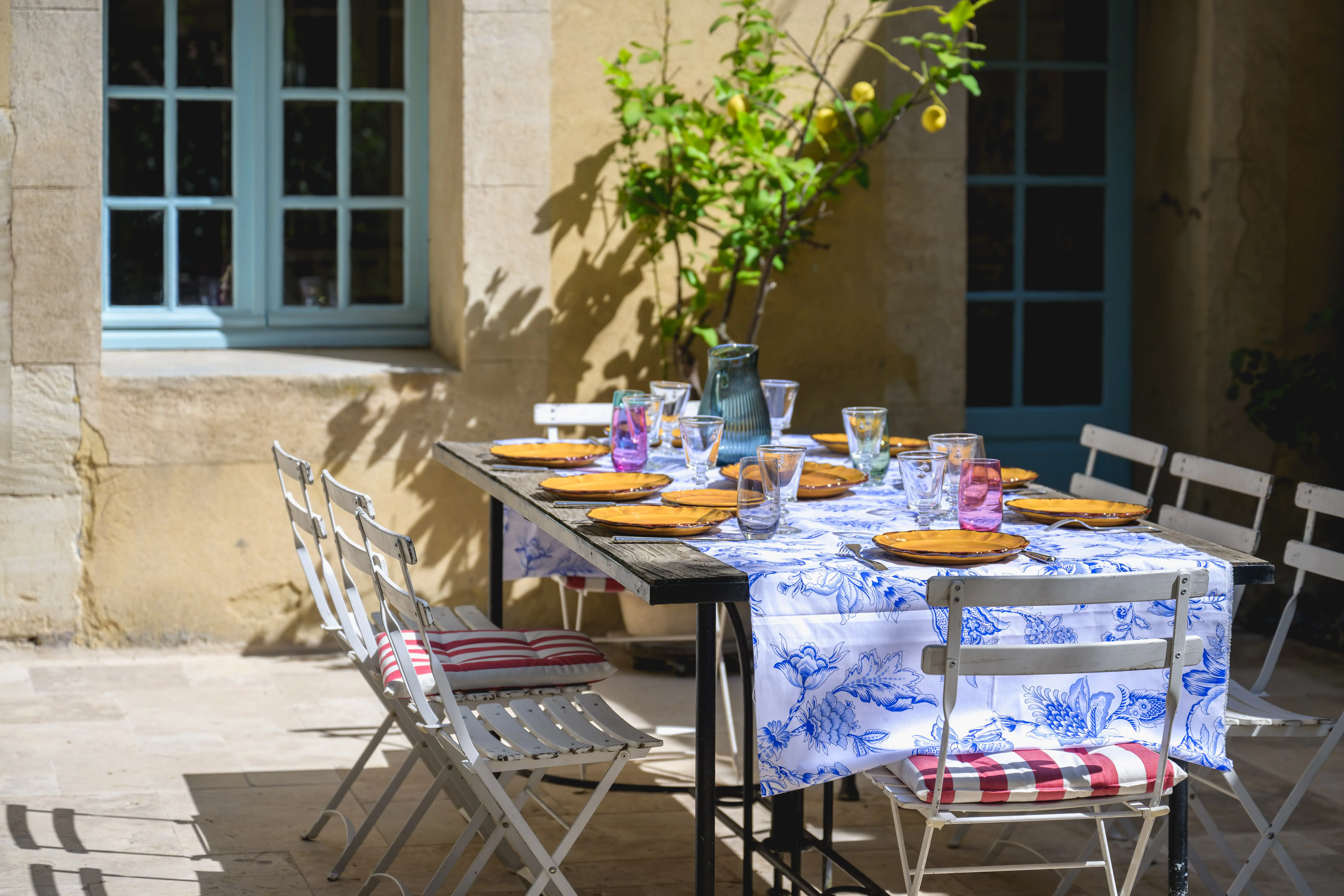 Chara en Provence