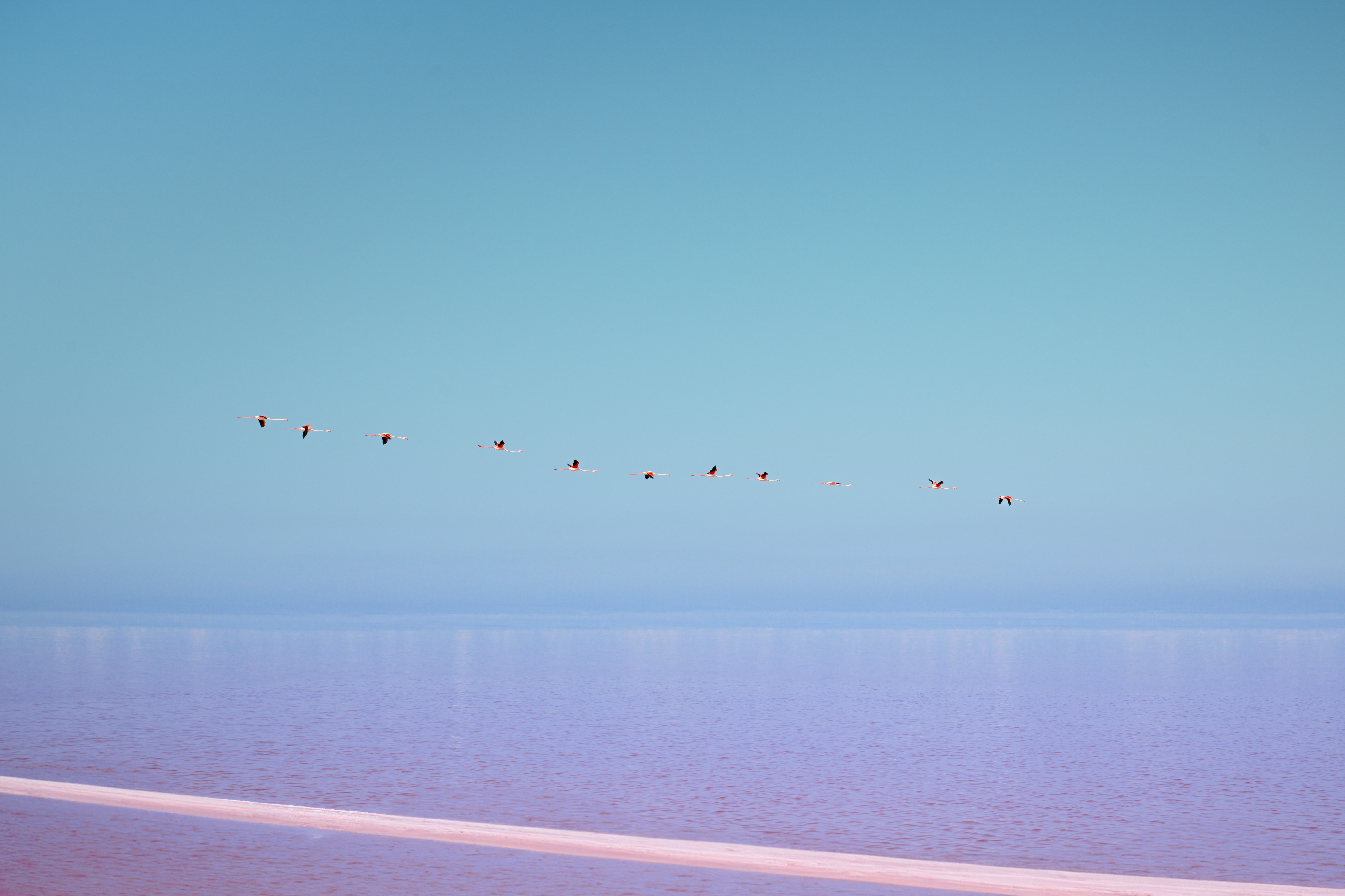 Sel et fleur de sel de camargue IGP