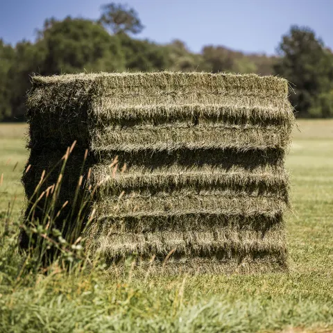 Bottes de foin de Crau empilées dans la prairie