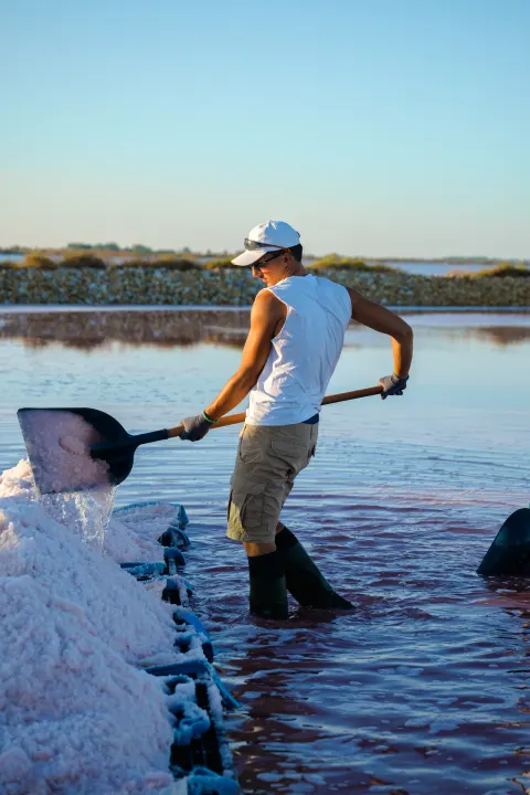 Saunier récoltant le sel dans un salin de Camargue