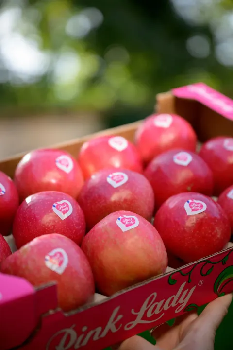 Caisse de pommes Pink Lady