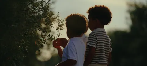 Deux enfants observent un olivier dans la lumière du soir