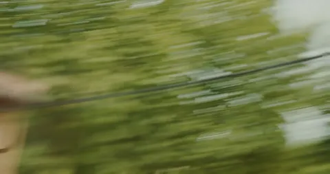 Paysage de verdure filé par le mouvement