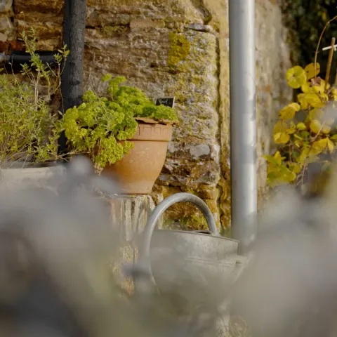 Arrosoir et plantes contre un mur de pierre
