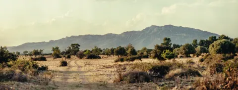 Vidéo d'ouverture de la page L'Agence